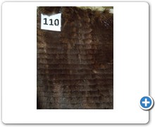 collection 9 Rasature geometriche 110